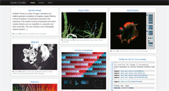 Desktop Screenshot of gcrll.net